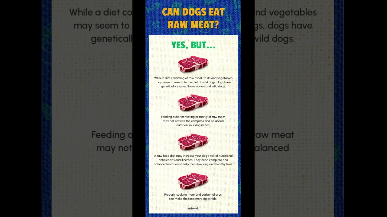 Sharing some tips for feeding dogs raw meat! Share your fav pet food recipes with us! 🥩