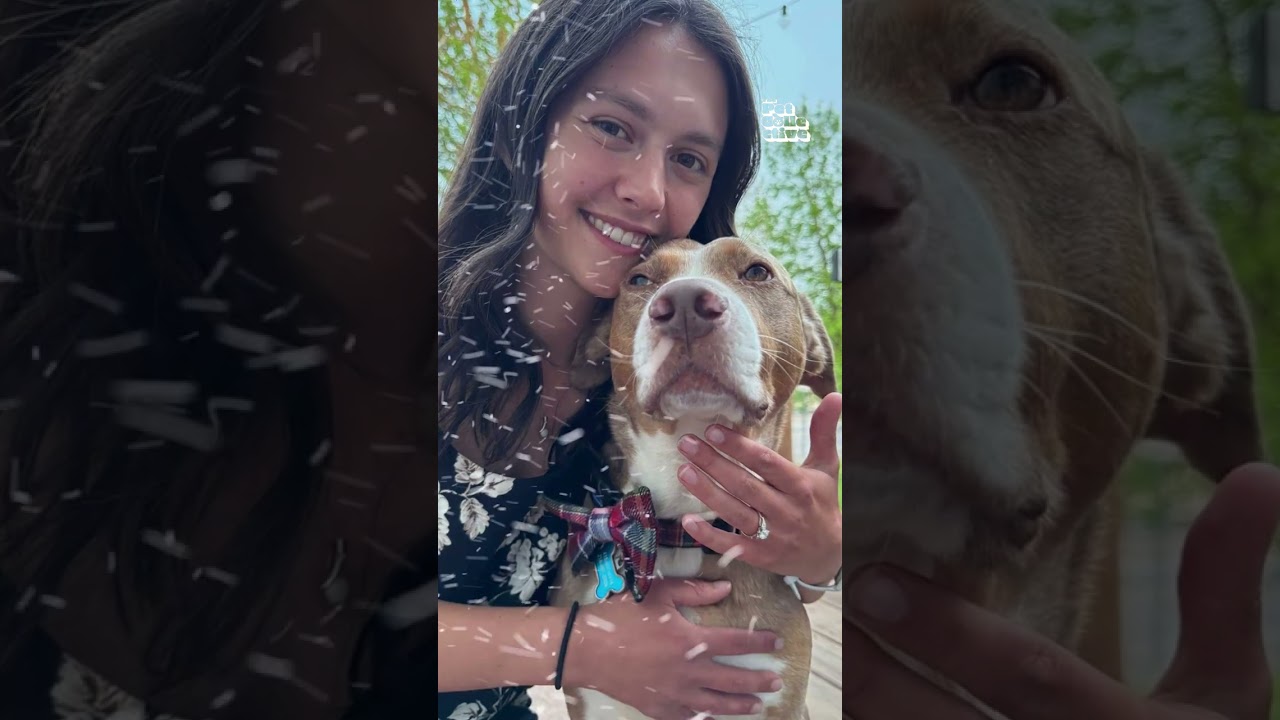 Meet Team USA’s Korey Dropkin and the Pets Behind His Olympic Journey