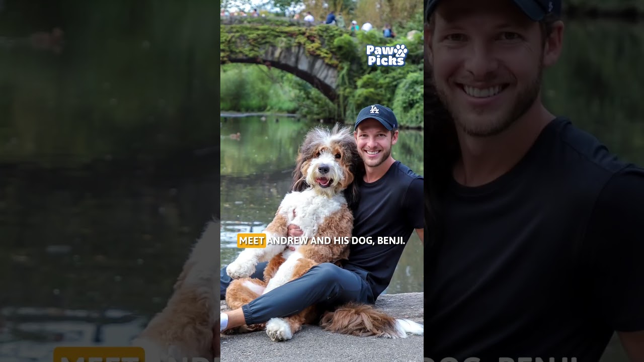 This Week's Paw Pick: We LOVE The Whiffie Cushion 🐾