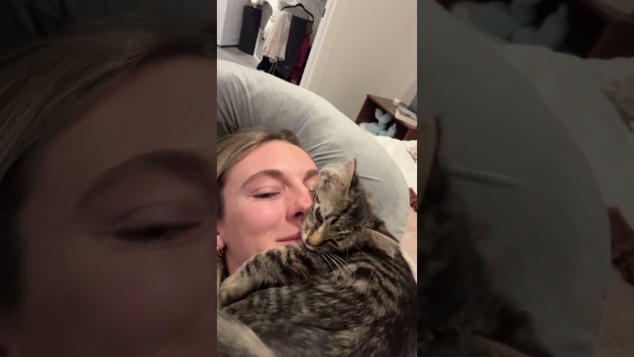 My Kitten Loves To Lay On My Face 😂😅 #Cats #Kitten #Cute
