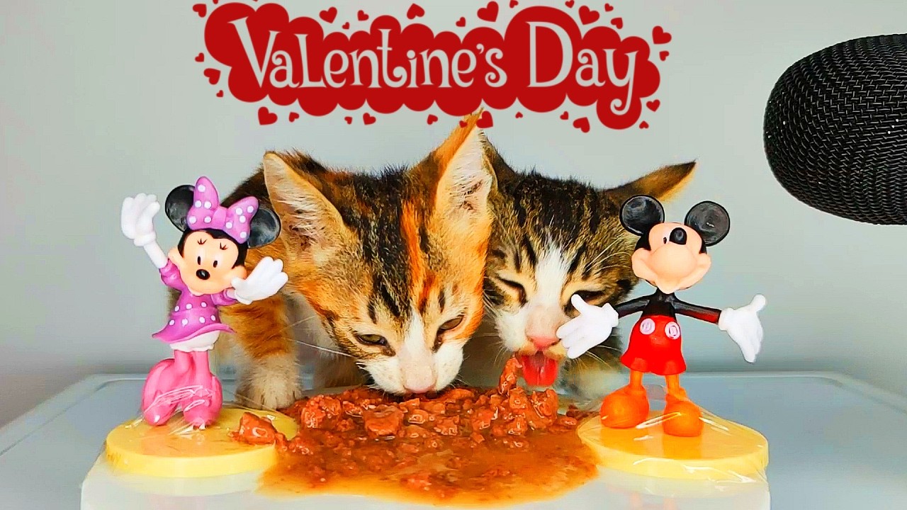Valentine's Day Special: Kitten ASMR with Mickey & Minnie ❤️🐾