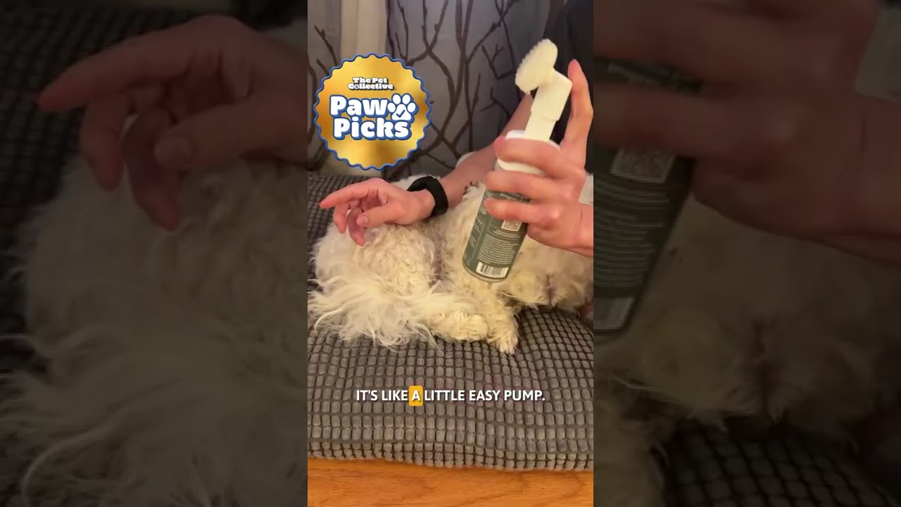 🐾 Paw Pick: Dandylion Clean Paws