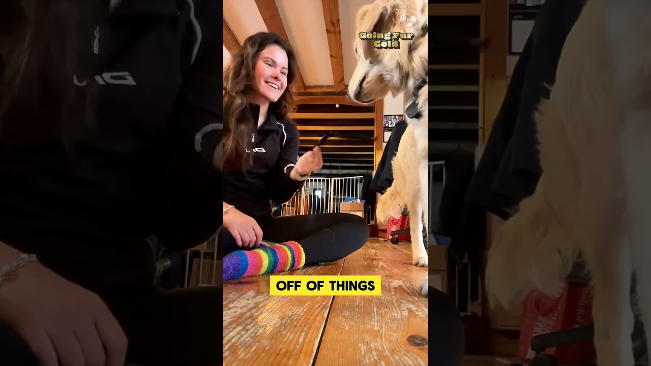 Meet 2x World Champion Kaila Kuhn and Her 2 Goldens