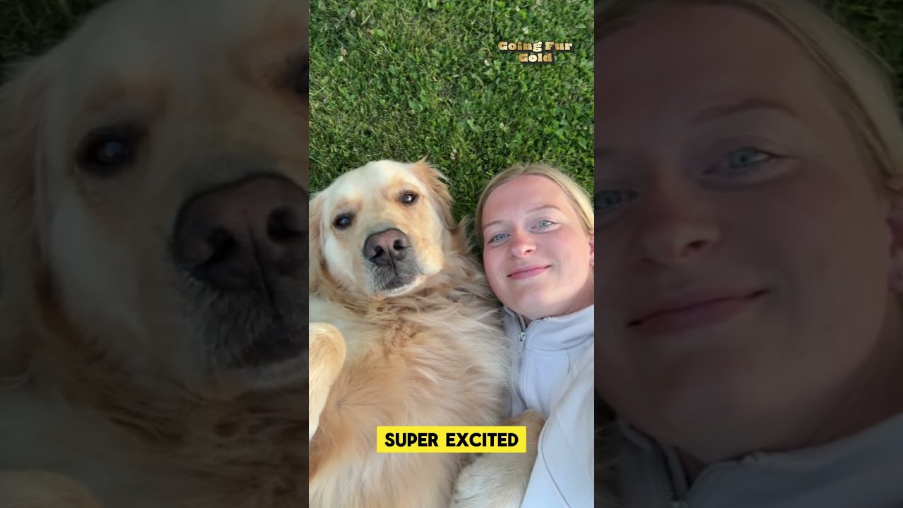 Meet Odie: The Golden Retriever Behind Team USA Curler Corey Thiesse