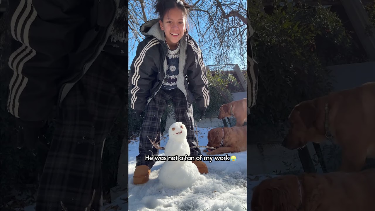 My Dog Just DESTROYED My Snowman 😭