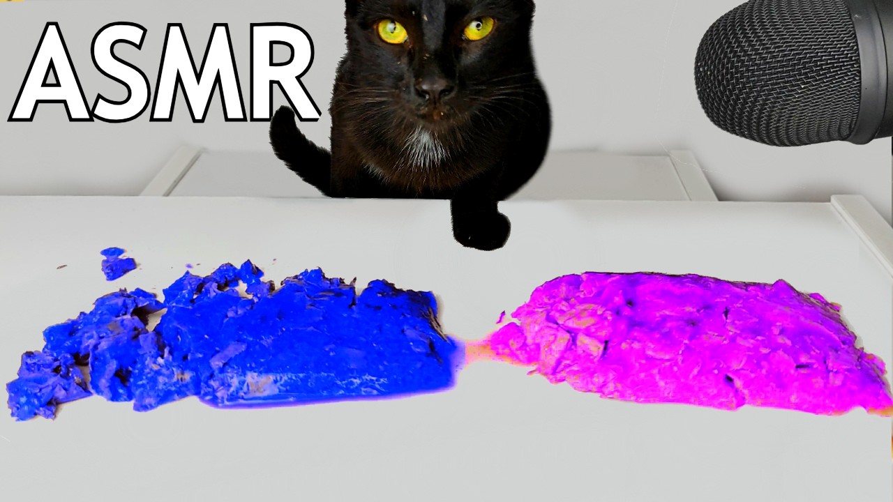 Black Cat Eating Blue & Purple Food ASMR 🐈‍⬛💙💜