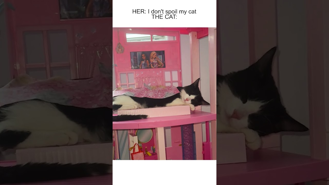 People who don't care about football sleeping through the whole game  like: