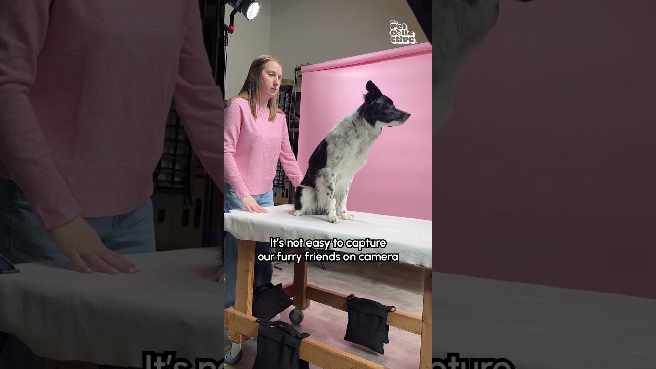 This Dog Made the Reader’s Digest Cover!